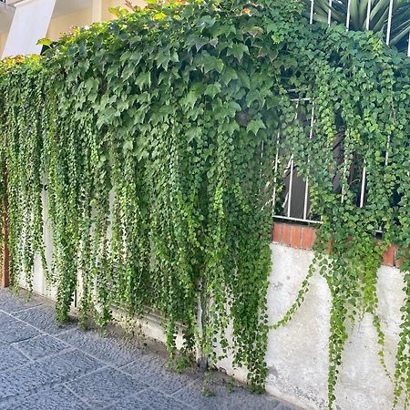 Ammore Ammare Apartment ايسكيا المظهر الخارجي الصورة